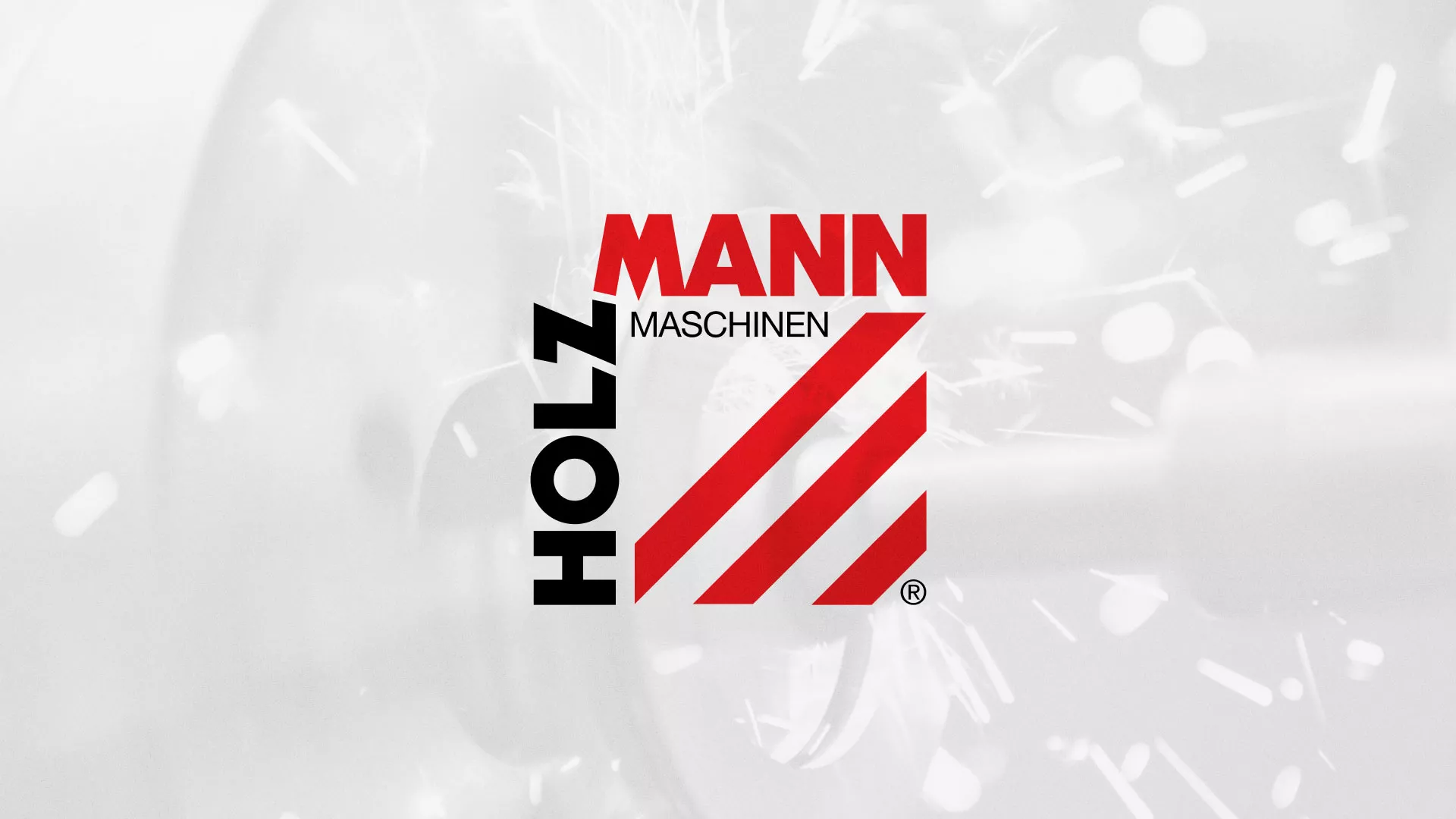 Создание сайта компании «HOLZMANN Maschinen GmbH» в Ногинске