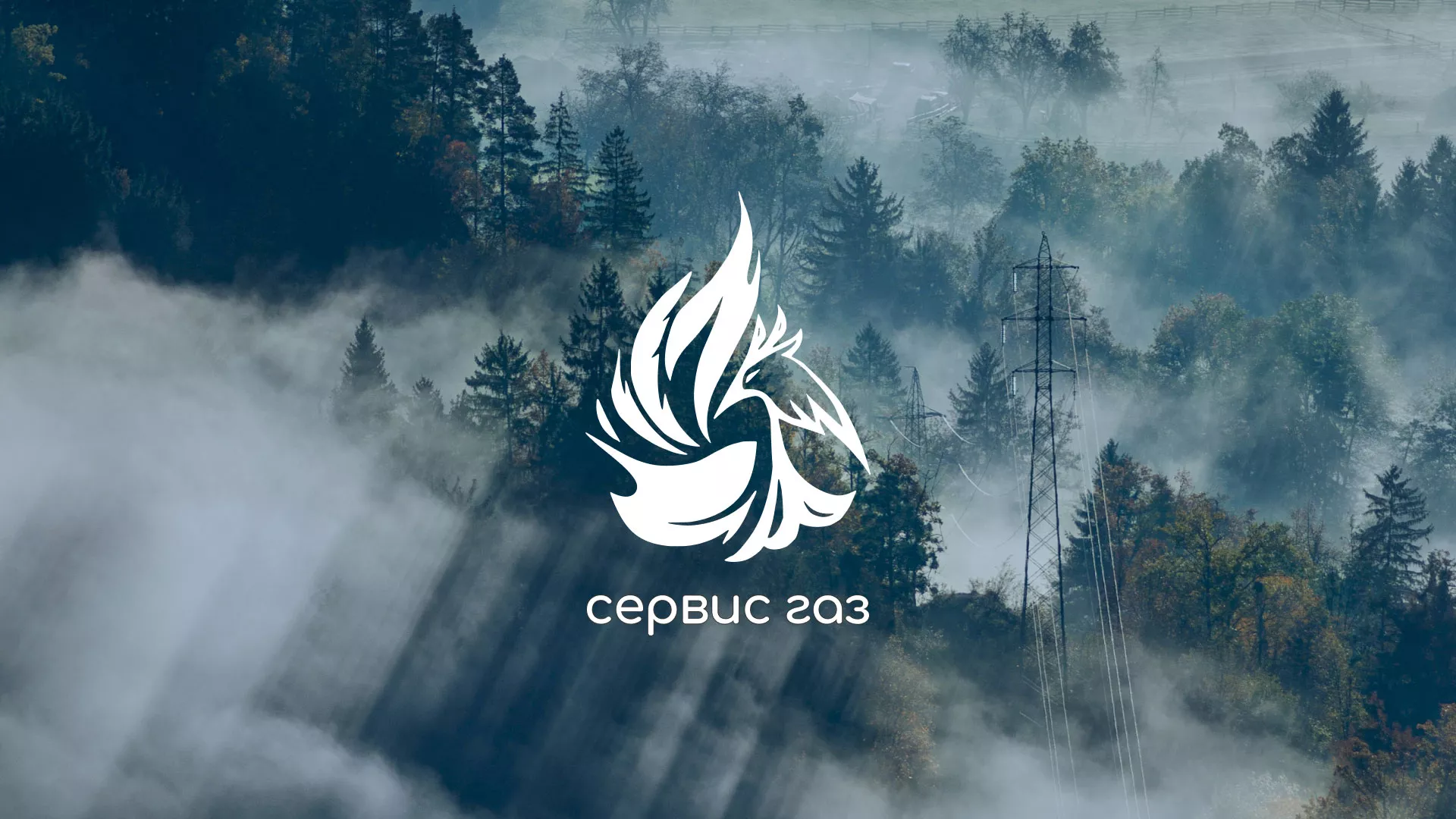 Создание сайта компании «Сервис газ» в Ногинске