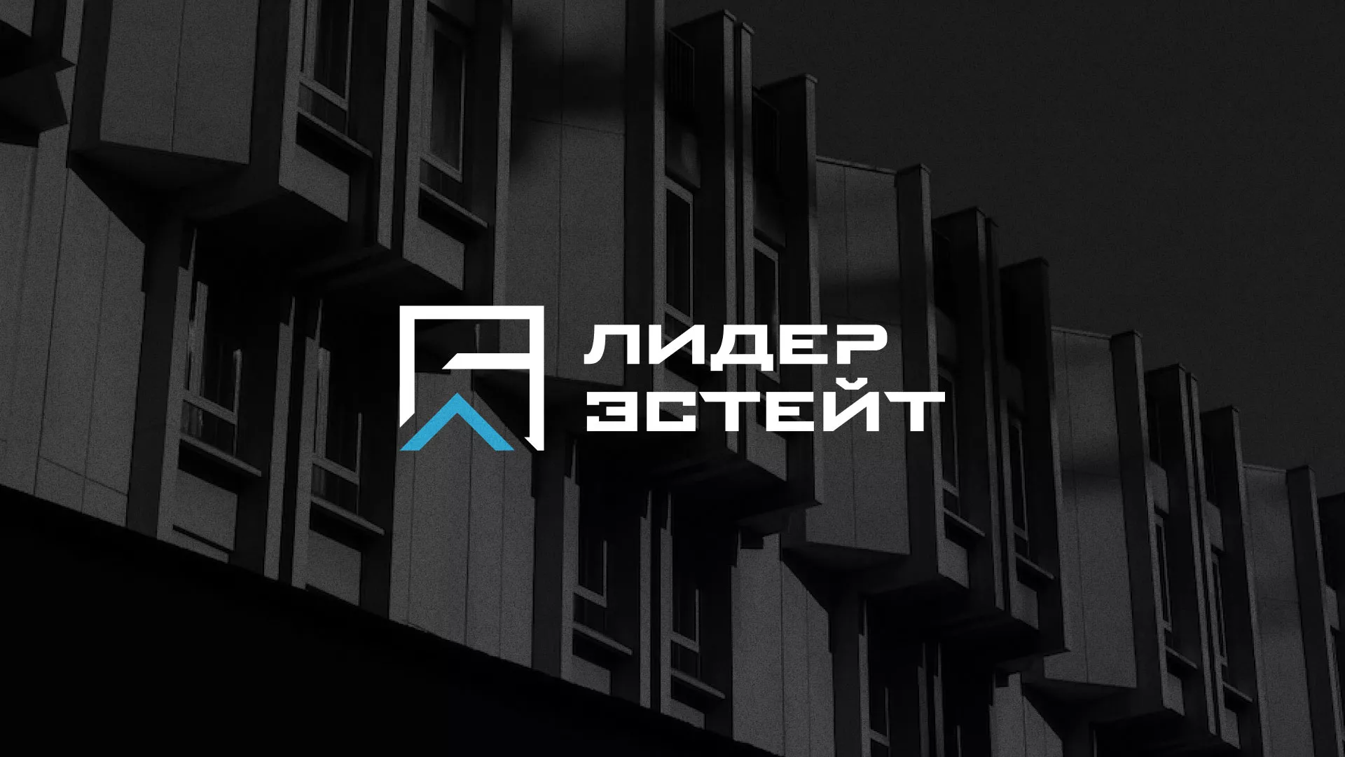Разработка логотипа агентства недвижимости «Лидер Эстейт» в Ногинске
